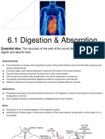 6.1 Digestion Absorption