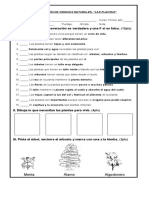 Prueba de Ciencias Naturales Las Plantas 2018