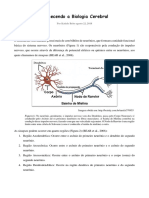 Conhecendo A Biologia Cerebral