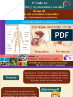 AI5. Sistema Nervioso y Reproductivo/Módulo 16