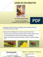 Entomologia Agrícola 10-07-18