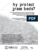 201001WhyProtectSeagrassBeds PDF