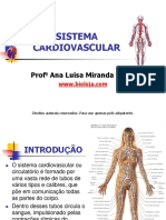 Fisiologia-Cardiovascuar Pps