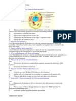 Cell:Fundamental Unit of Life