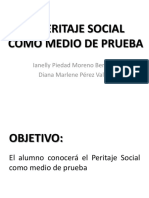 El Peritaje Social Como Medio de Prueba