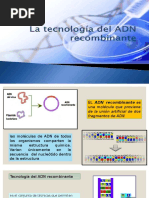 Expo070619 Adn Recombinante