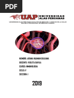 Cuestionario de Glomerulonefritis