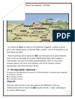 Raport 2 PDF