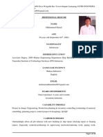 Profesional Resume