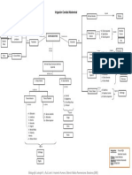 Mapa Conceptual Irrigación C. Abdominal