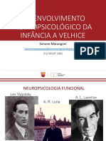 Desenvolvimento Neuropsicológico