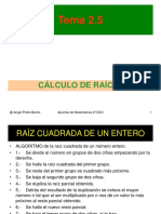 Tema 2.5: Cálculo de Raíces