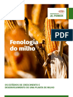 Fenologia Do Milho