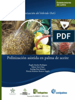 Polinización Asistida en Palma de Aceite