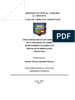 Caracterización de Los Arbustos en La Provincia de Tarma, PDF