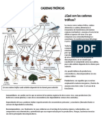 Cadenas Tróficas