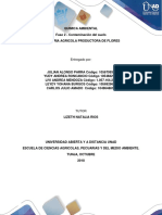 Fase 2 - Contaminación Del Suelo PDF