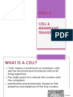 Structure and Function of The Cell