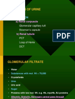 Formation of Urine: Nephron