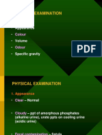 Urine Analysis