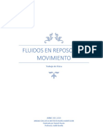 Fluidos en Reposo y Movimiento