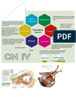 Par Craneal 4 y 9 Mapa Conceptual