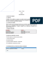 Procedimientos de Auditoria