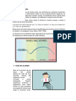 Fases Del Estress