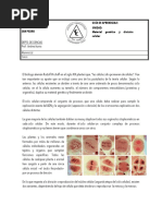 Ciclo Celular Mitosis y Ca Ncer 1 PDF