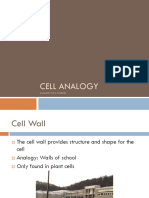 Cell Analogy