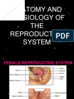 Anatomy and Physiology of THE Reproductive System