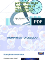 Rompimiento Celular y Operaciones de Separación de Biomasa