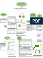 Conceptos Ecologicos