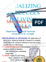 Visualizing Molecules in Living Cells