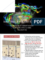 Cell Junctions: Mrs. Ofelia Solano Saludar