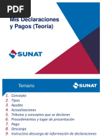 1 Plataforma SUNAT (Teoría)