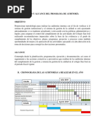 PLan de Auditoria David