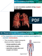 Biology-Ch 30 Notes On Respiratory and Circulatory Systems