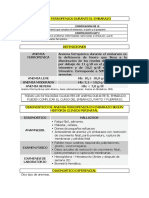 01 PC Anemia Ferropenica Durante El Embarazo Salud de La Muj