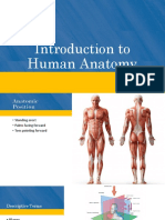 Introduction To Human Anatomy