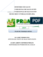 Plan Anual de Promsa 2019