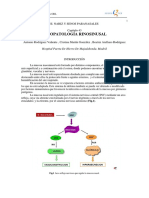 043 - Fisiopatología Rinosinusal