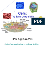 Cell Parts 09-0