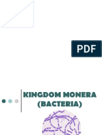 Kingdom Monera