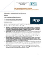 Observación de Hongos: Moho Del Pan y de La Fruta.