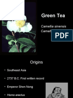 Green Tea: Camellia Sinensis Camellia Assamica