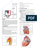 Aparato CV 1