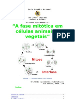 Mitose