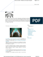 Transcomunicador Piramidal Interdimensional 2