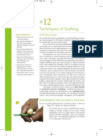 Grafting PDF